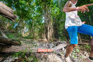 BIB: 
                            <button type="button" onclick="openModal(19387094)" class="btn btn-primary btn-sm float-right btn-popup" data-toggle="modal" data-target=".modal-high-quality">
                        <i class="fas fa-shopping-cart"></i> Add to Cart
                    </button>
                                            <button type="button" onclick="isThisMe(19387094, true)" class="btn btn-success btn-sm float-right btn-popup btn-isme hidden" data-toggle="tooltip" data-placement="bottom" title="นี่คือรูปของคุณใช่ไหม คลิกที่นี่เพื่อเอาเข้าอัลบั้ม">
                        <i class="fas fa-plus"></i> Add to album
                    </button>
                    <button type="button" onclick="isThisMe(19387094, false)" class="btn btn-warning btn-sm float-right btn-popup btn-isnotme hidden">
                        <i class="fas fa-ban"></i> Remove from album
                    </button>